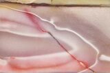 Polished Mookaite Jasper Slab - Australia #221856-1